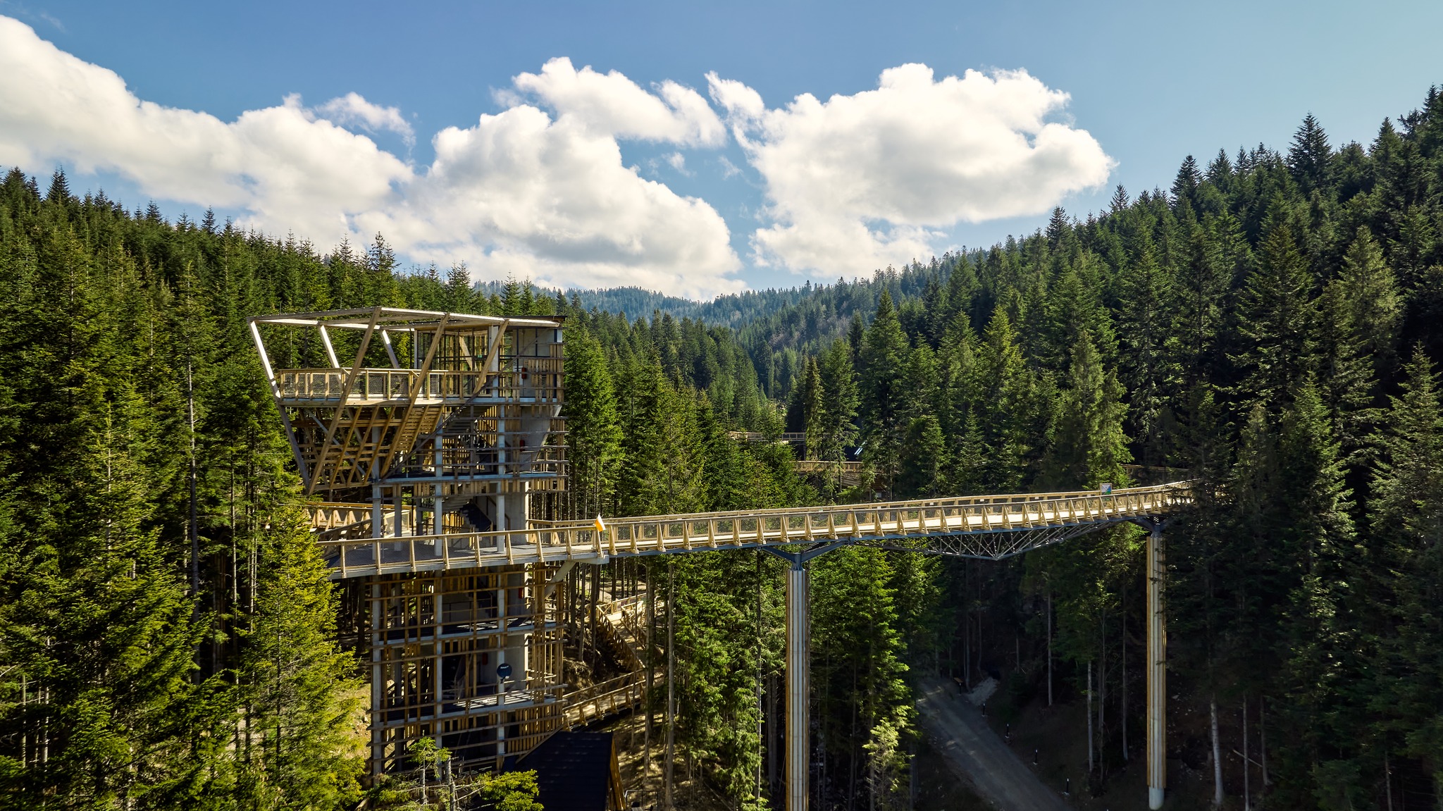 The longest treetop path in Poland – Brama w Gorce [GALERIA]